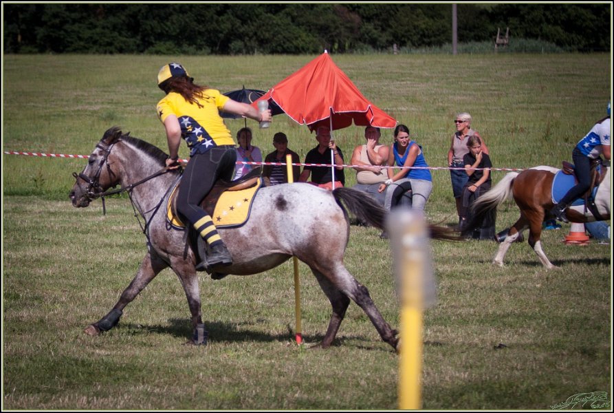Mounted Games 328